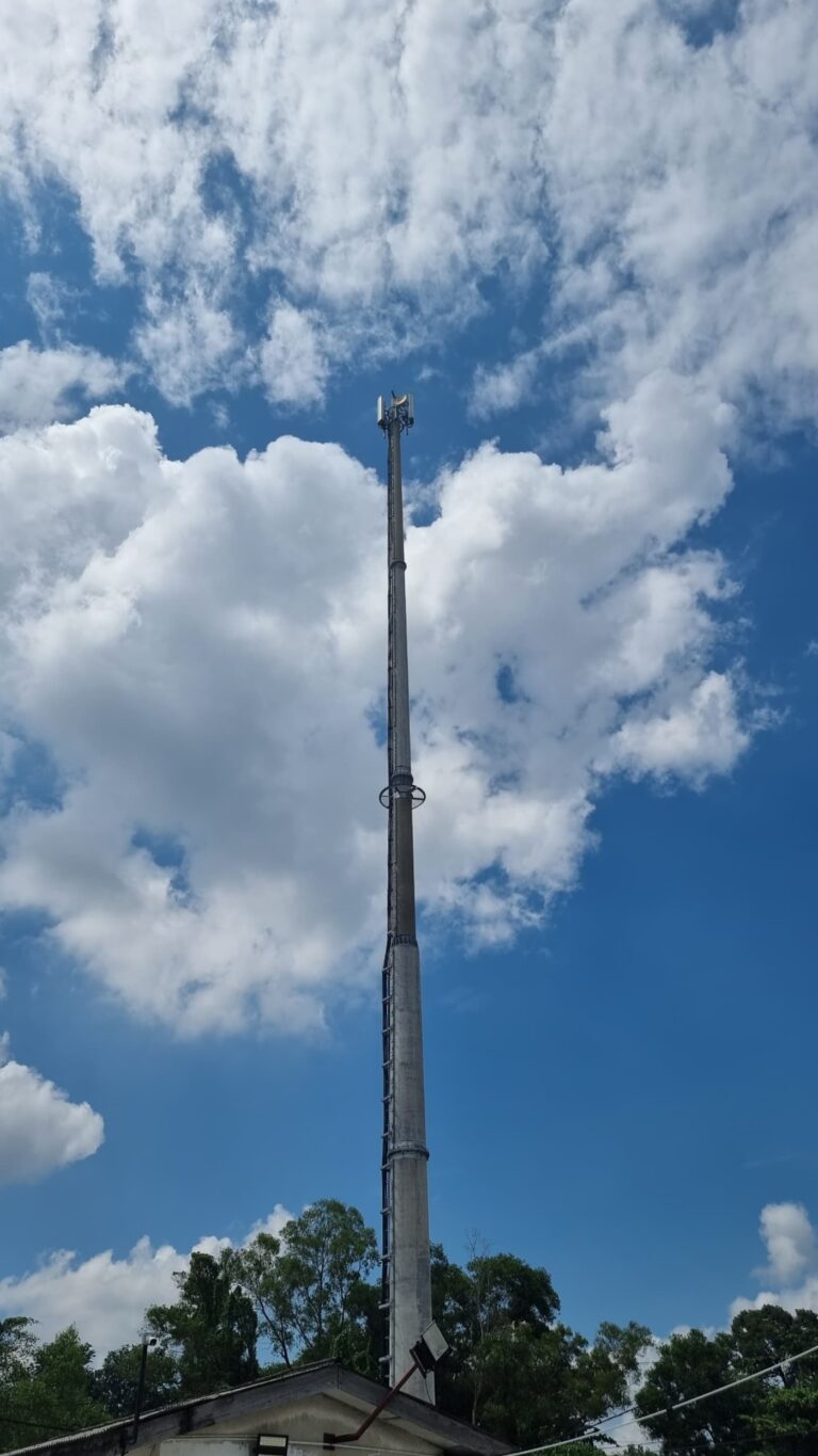 monopole